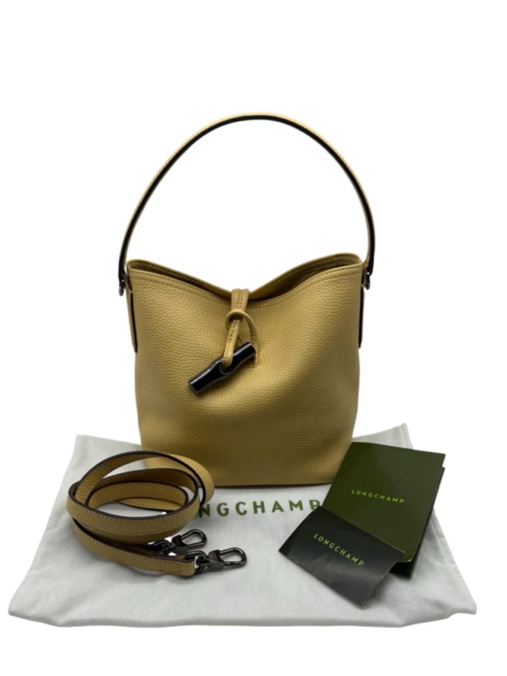 Longchamp Le Roseau Bucket Bag in Pistachio